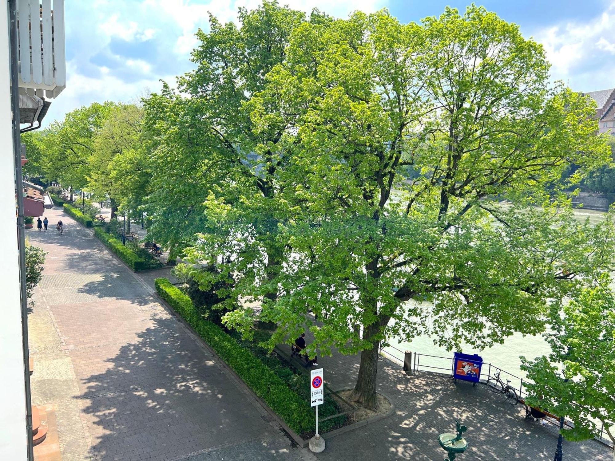 Riverside Βασιλεία Εξωτερικό φωτογραφία